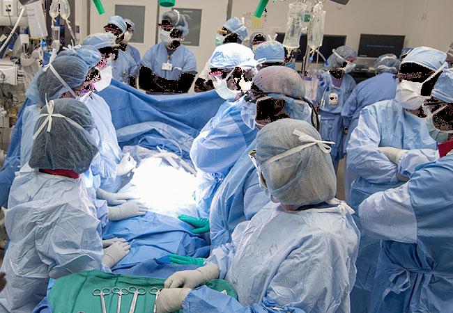 First Live Birth from Deceased-Donor Uterine Transplant
