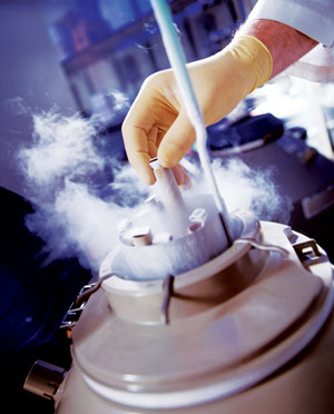Embryo - belongs to whom?